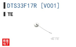 DTS33F17R [V001]